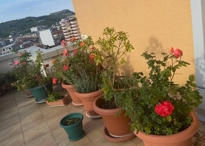 Belvedere Centro Shkoder