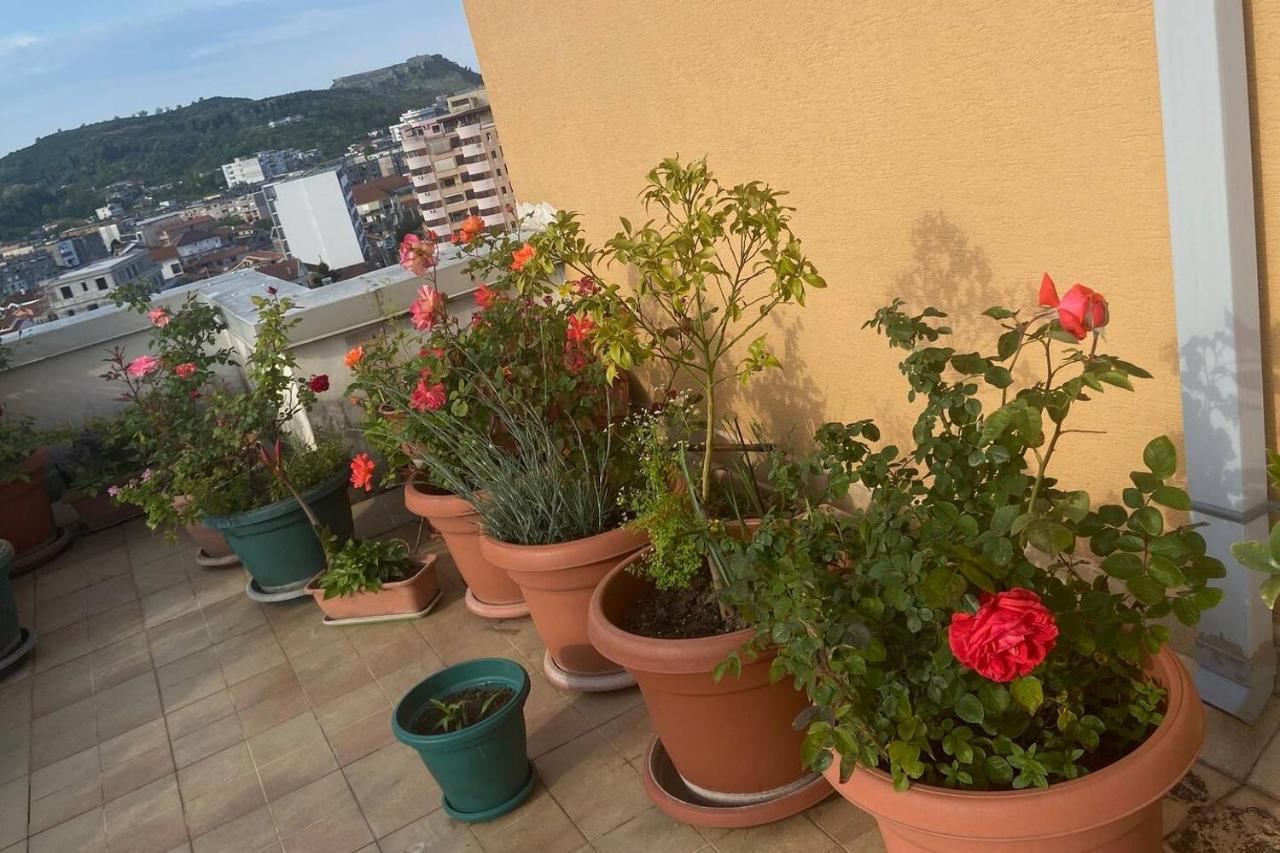 Belvedere Centro *